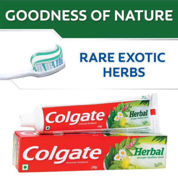 Colgate Herbal Toothpaste 100gm - Image 4